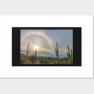 Saguaro Halo Posters and Art